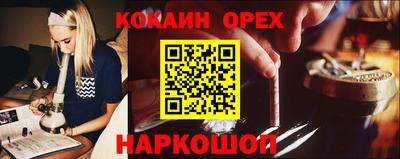 стаф Сланцы