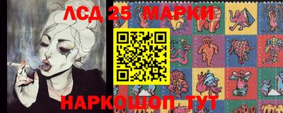 стаф Сланцы