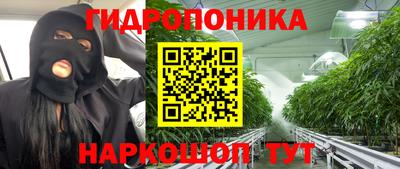 стаф Сланцы