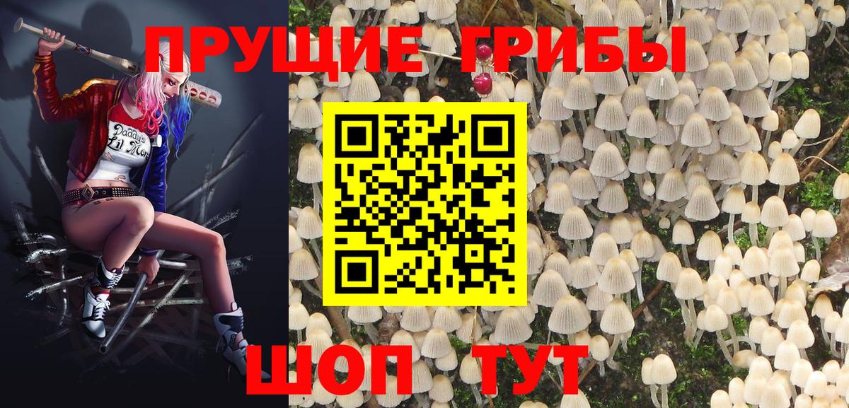 Псилоцибиновые грибы ЛСД  Псилоцибиновые грибы Psilocybine cubensis  Орск  Вход с VPN 
